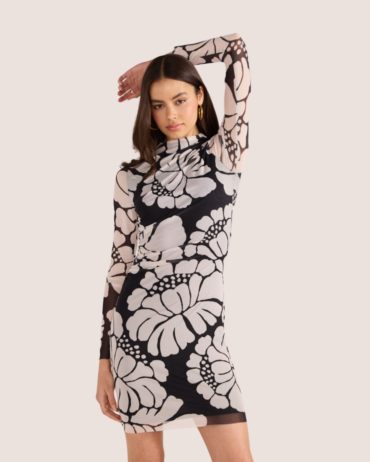 Persephone Mesh Mini Dress